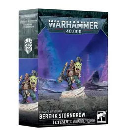 Games Workshop 69-27 Berehk Stornbrow
