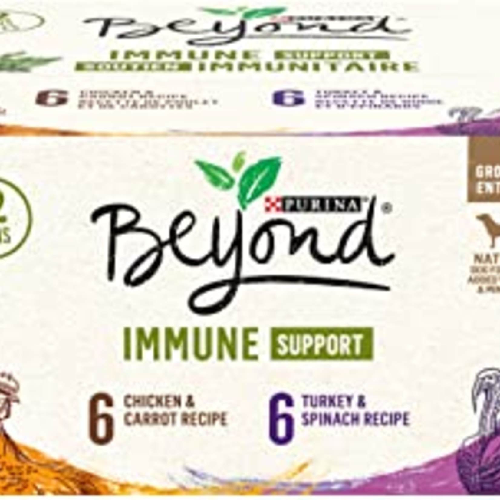 Purina Beyond Immune Support Wet Dog Food Variety Pack of 12