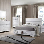 Minhas Alamar Queen Storage Bed - White