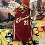 Nike Cleveland Cavaliers LeBron James Jersey sz yXL