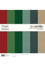 Simple Stories Color Vibe Textured Cardstock Kit - Winter