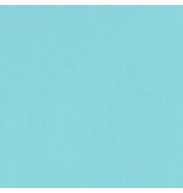 Bazzill Bazzill Card Shoppe 8.5x11 - Robin’s Egg Cardstock