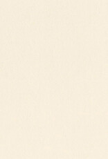 Bazzill Bazzill Card Shoppe 8.5x11 - Butter Mints Cardstock