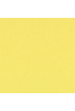 Bazzill Bazzill Card Shoppe 8.5x11 -  Sour Lemon