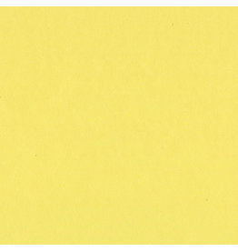Bazzill Bazzill Card Shoppe 8.5x11 -  Sour Lemon Cardstock