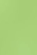 Bazzill Bazzill Card Shoppe 8.5x11 - Spearmint Cardstock