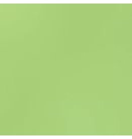 Bazzill Bazzill Card Shoppe 8.5x11 - Spearmint Cardstock