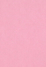 Bazzill Bazzill Card Shoppe 8.5x11 - Cotton Candy Cardstock