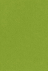 Bazzill Bazzill Card Shoppe 8.5x11 - Easter Grass Cardstock