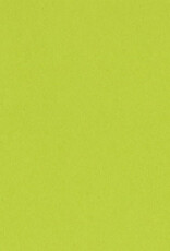 Bazzill Bazzill Card Shoppe 8.5x11 - Juicy Pear Cardstock