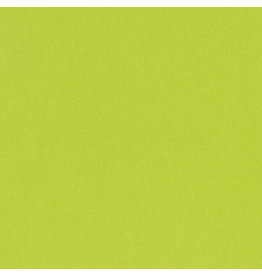 Bazzill Bazzill Card Shoppe 8.5x11 - Juicy Pear Cardstock