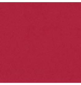 Bazzill Bazzill Card Shoppe 8.5x11 -  Lollypop Cardstock