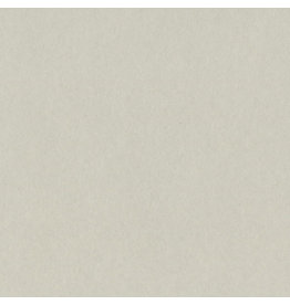 Bazzill Bazzill Card Shoppe 8.5x11 - Taffy Cardstock
