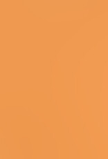 Bazzill Bazzill Card Shoppe 8.5x11 - Citrus Slice Cardstock