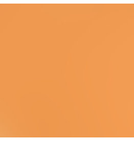 Bazzill Bazzill Card Shoppe 8.5x11 - Citrus Slice Cardstock