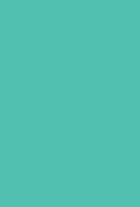 Bazzill Bazzill Card Shoppe 8.5x11 - Mint Julep Cardstock