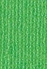 Bazzill Bazzill Bling Cardstock 12x12 - Bank Roll