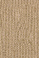 Bazzill Bazzill Bling Cardstock 12x12 - Blank Check