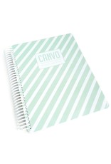 Catherine Pooler Designs Mint Stripe Canvo Journal