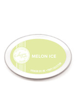 Catherine Pooler Designs Melon Ice Ink pad