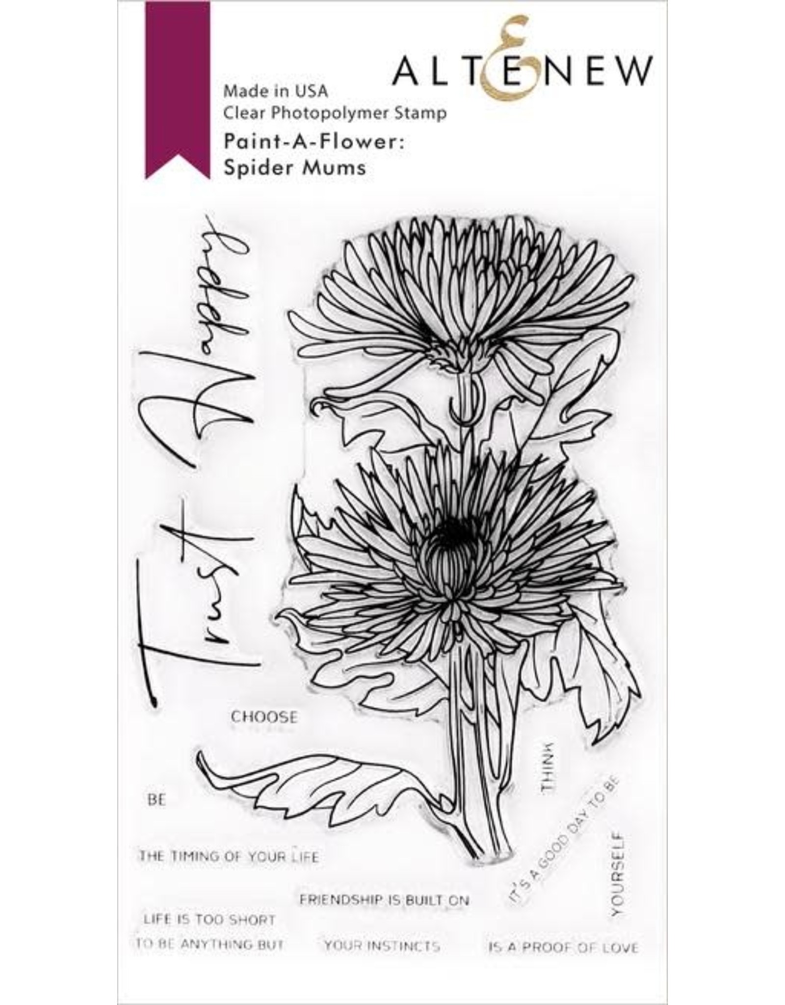 ALTENEW Paint-A-Flower: Spider Mums Outline Stamp Set