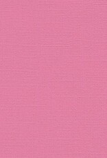 My Colors 12x12 Pink Punch - Canvas *DISC*