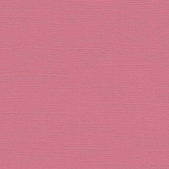 My Colors 12x12 Coral Rose- Canvas
