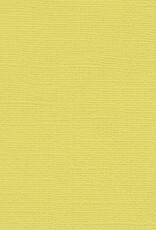 My Colors 12x12 Yellow Corn Canvas