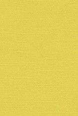 My Colors 12x12 - Fireflies - Canvas *DISC*