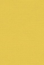 My Colors 12x12 - Banana Pepper - Canvas *DISC*