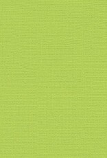 My Colors 12x12 - Limelight - Canvas *DISC*