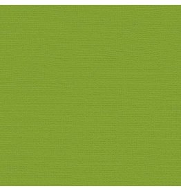 My Colors 12x12 Mint Julep - Canvas *DISC*