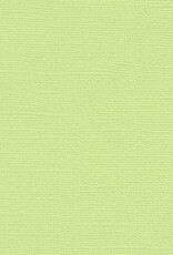 My Colors 12x12 - Lime Pop - Canvas *DISC*