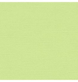 My Colors 12x12 Lime Pop - Canvas *DISC*