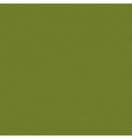 My Colors 12x12 Spanish Moss -Canvas   *DISC*