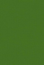 My Colors 12x12 Parrot - Canvas  *DISC*