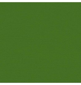 My Colors 12x12 Parrot - Canvas  *DISC*