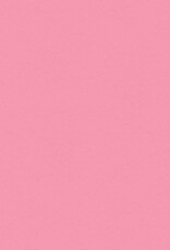 My Colors 12x12 Petal Pink- Classic