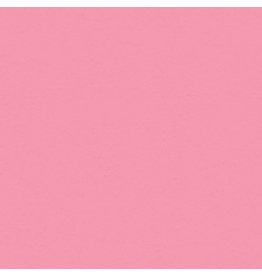 My Colors 12x12 Petal Pink - Classic *DISC*