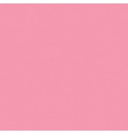 My Colors 12x12 Petal Pink- Classic