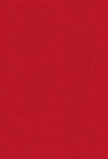My Colors 12x12 Scarlet- Classic