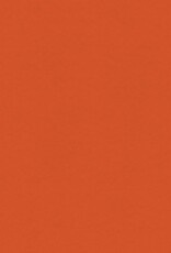 My Colors 12x12 Papaya- Classic