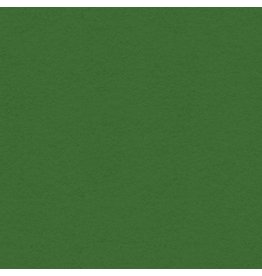 My Colors 12x12 Holiday Green - Classic *DISC*