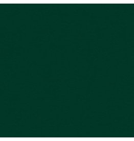 My Colors 12x12 Forest Green - Classic *DISC*