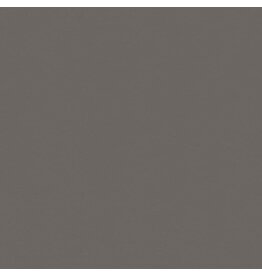 My Colors 12x12 Phantom Gray - Classic  *DISC*