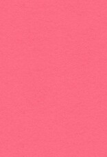 My Colors 12x12 Rose Chintz-Heavyweight