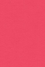 My Colors 12x12 Watermelon Pink-Heavyweight