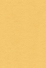 My Colors 12x12 - Wildflower Honey - Heavyweight  *DISC*