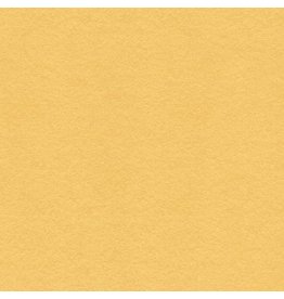 My Colors 12x12 Wildflower Honey - Heavyweight