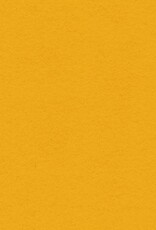 My Colors 12x12 Lemon Sorbet- Heavyweight